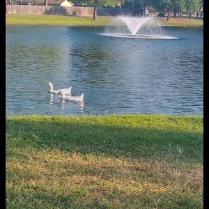 Bundle & Save 😘😘